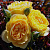 Роза флорибунда Голден Еарс (Golden Years (HARween)) C30
